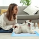thumbnail image 4 of Almohadilla de entrenamiento FluffyDream superabsorbente e impermeable, 200 unidades, 4 of 7