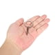 thumbnail image 3 of 266PCS - Juguete para gatos - Estilo bola de menta, 3 of 8