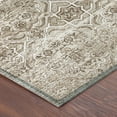 thumbnail image 3 of Addison Rugs Chantille Indoor/Outdoor Traditional Global Beige Machine Washable Rectangle Rug, 10' x 14', 3 of 8