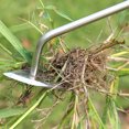 thumbnail image 3 of LCXmlly Désherbeur à 3 Griffes Manche Long Désherbeur Compact en Acier Inoxydable Outil de Désherbage de Jardin Outils à Main, 3 of 8