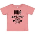 thumbnail image 3 of Inktastic Ohio Awesome Since 1803 Boys or Girls Baby T-Shirt, 3 of 5
