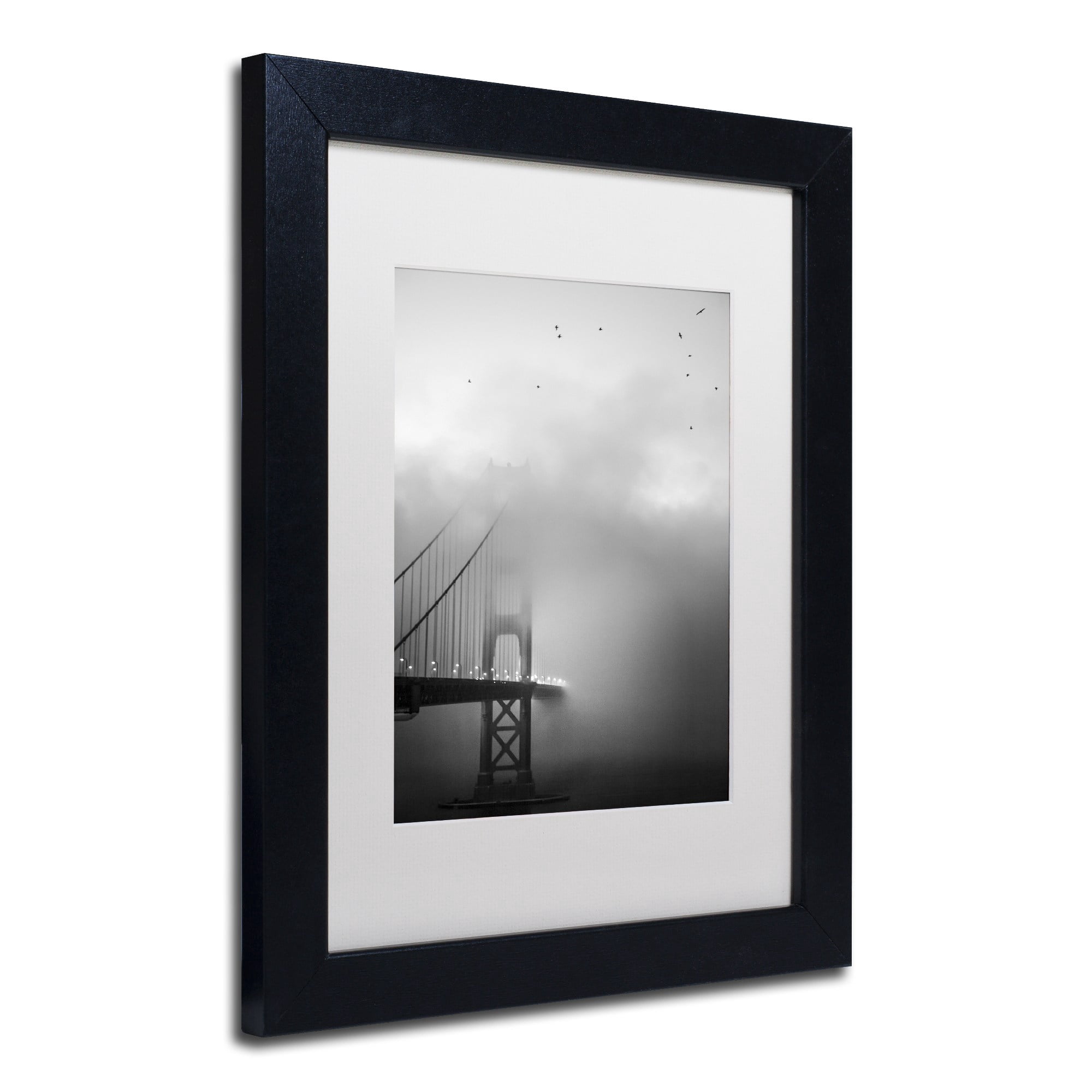 Trademark Fine Art "Golden Gate and Birds" Canvas Art by Moises Levy White Matte, Black Frame