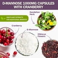 thumbnail image 6 of Healblend D-Mannose Capsules - Liver & Urinary Tract Health Supplement for UTI, Bladder Infection, Kidney Support & Bloating Relief - 60 Capsules (2 Pack), 6 of 10