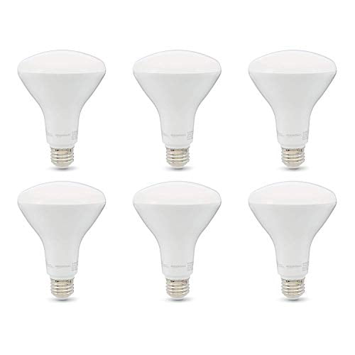 Basics 65W Equivalent 10,000 Hour Lifetime BR30 LED Light Bulb Daylight Dimmable 2-Pack 