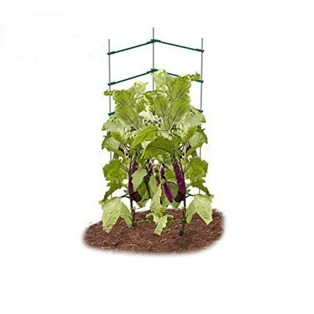 EcoTrellis, VShape Expandable Trellis, EggPlant Ladder, 3pcs of 5/16