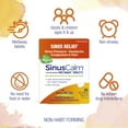 Boiron SinusCalm Tablets, Homeopathic Medicine for Sinus Relief, Sinus