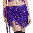 thumbnail image 1 of Trajes de actuación para danza del vientre para mujer, bufanda de cadera, falda, ropa de festival con flecos de lentejuelas (talla única), 1 of 5