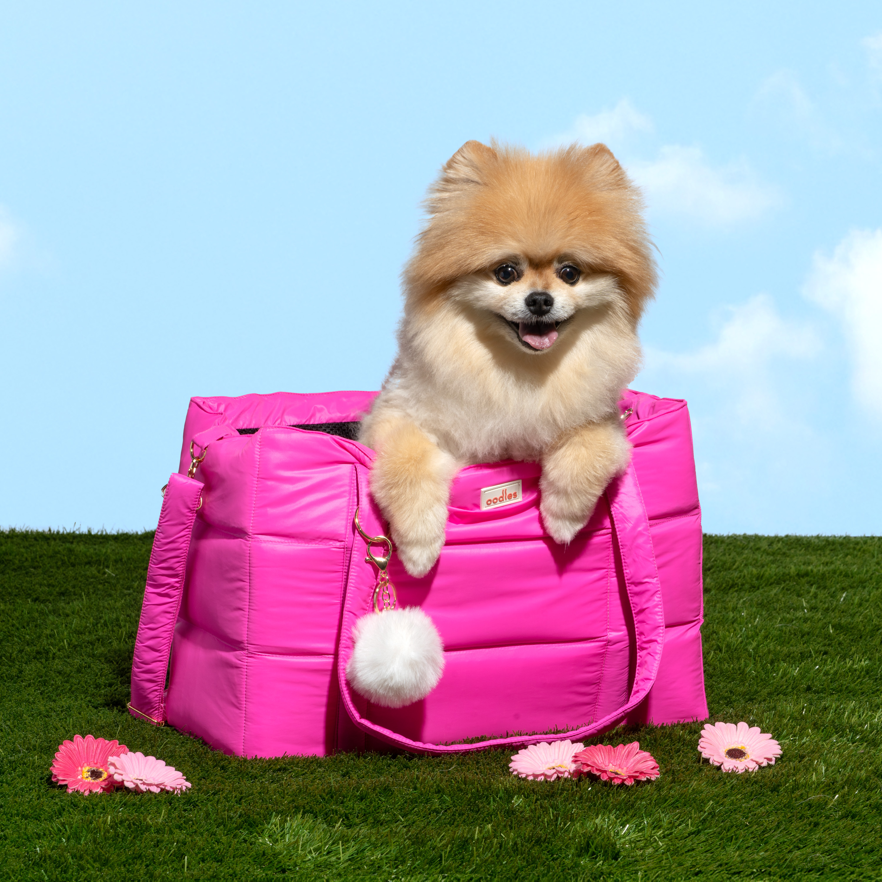 Oodles Solid Pink Quilted Zippered Soft Sided Pet Carrier Bag with Pom Charm, 13 lb Limit