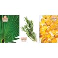 thumbnail image 5 of Organic Hair Energizer Booster pour Cheveux avec Pro-Vitamine-B5 6 fl oz, 5 of 5