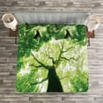 thumbnail image 3 of Ambesonne Landscape Quilted Bedspread Set 3 Pcs, Summer Rays in Wild, King Size, Green, 3 of 3