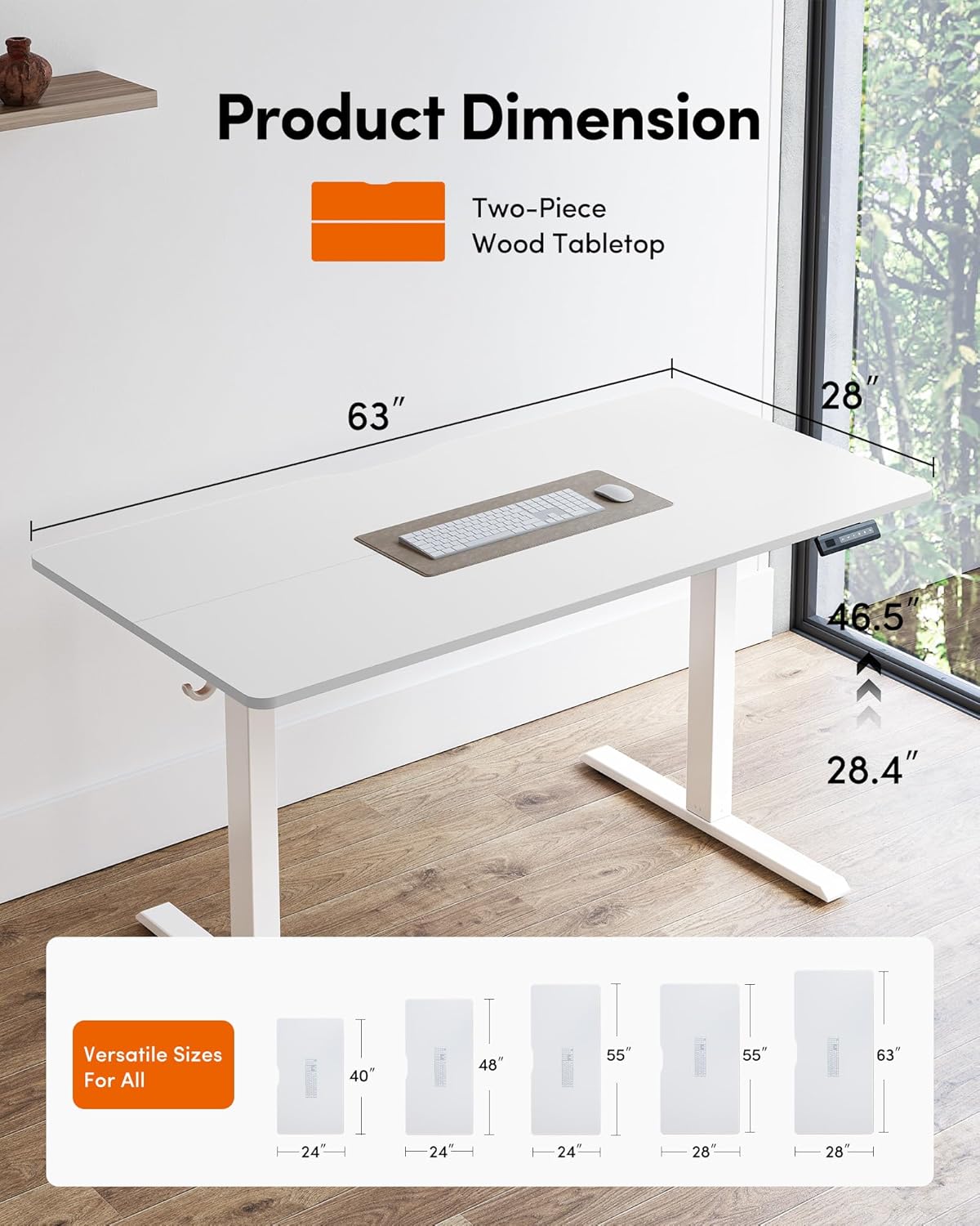 DESINO 63"x28" Electric Standing Desk, Height Adjustable Sit Stand Desk with Memory Presets, Ergonomic Home Office Desk, Anti-Collision Smart Lift Table, White