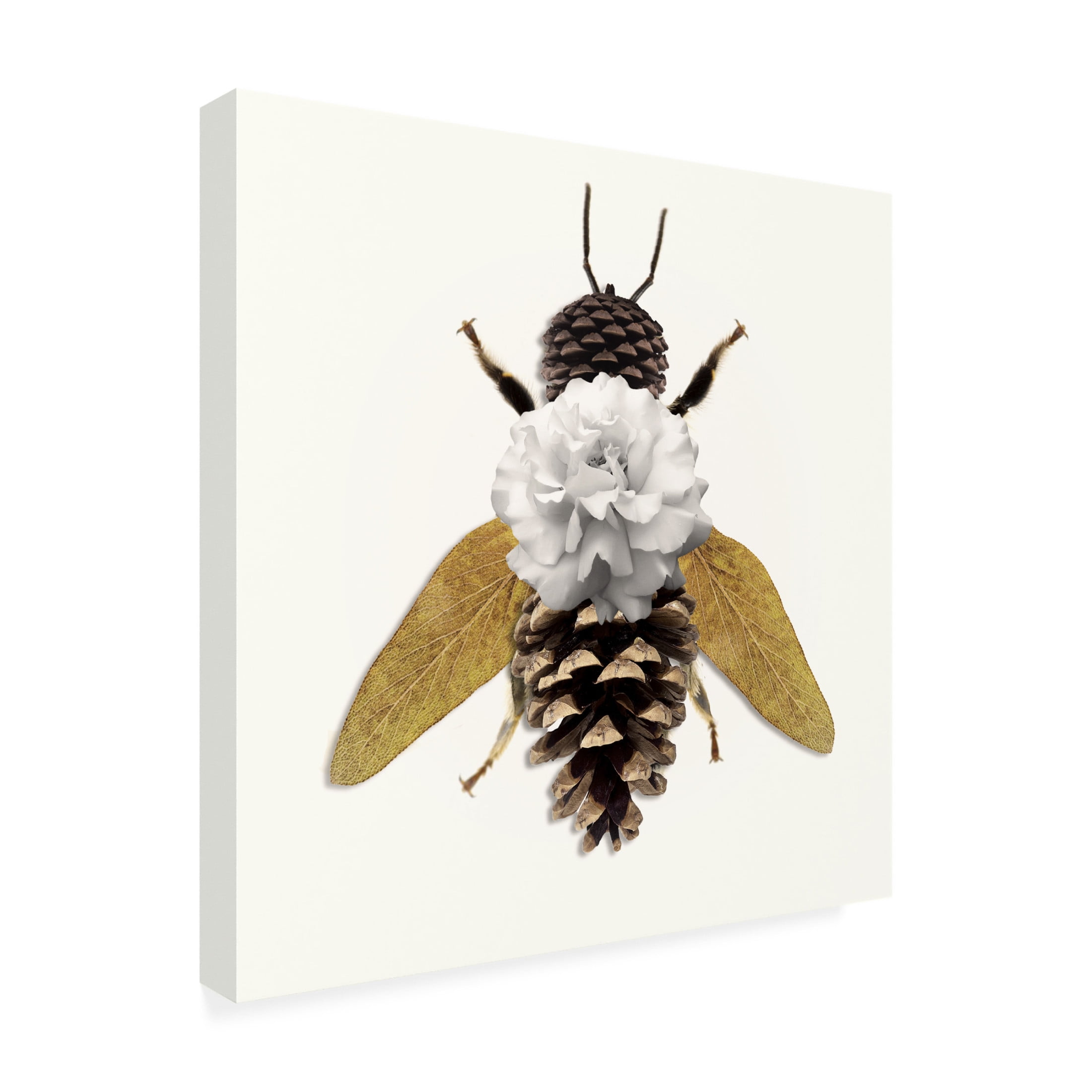 Canvas Wall Art - Sasha 'Bee' Wall Art for Living Room, Bedroom, or Office Décor by Trademark Fine Art - 24 x 24 Inches