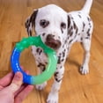 thumbnail image 2 of Petstages Orka Grow-with-Me-Ring - Juguete para Masticar Perros pequeños, 2 of 7