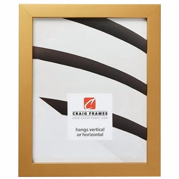Craig Frames Confetti Modern Gold Picture Frame 16 x 24 Inch