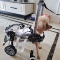 thumbnail image 5 of 4 Wheels Dog Wheelchair for Small Medium Large Dogs, Lightweight Pet Rehabilitation Brace with Adjustable 4-Wheel Mobility Aid, S, 5 of 9