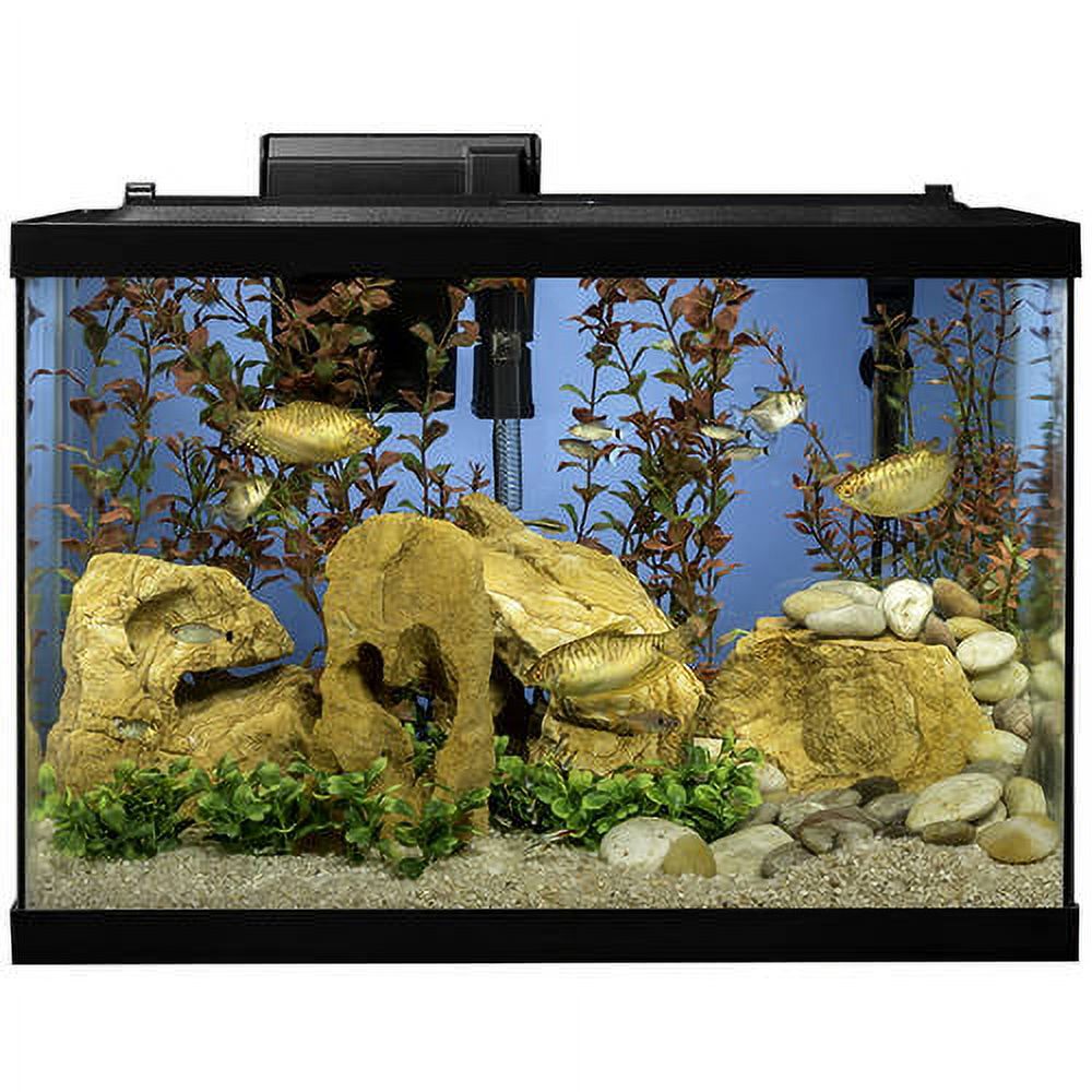 Tetra 20-Gallon Aquarium Kit with LED Lighting