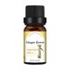 thumbnail image 1 of Perfume 10ML Vela Unilateral Naranja Dulce Aromaterapia Aceite De Árbol De Té Lavanda Material De Vela DIY Aceite Esencial De Aromaterapia Soluble En Aceite, 1 of 2