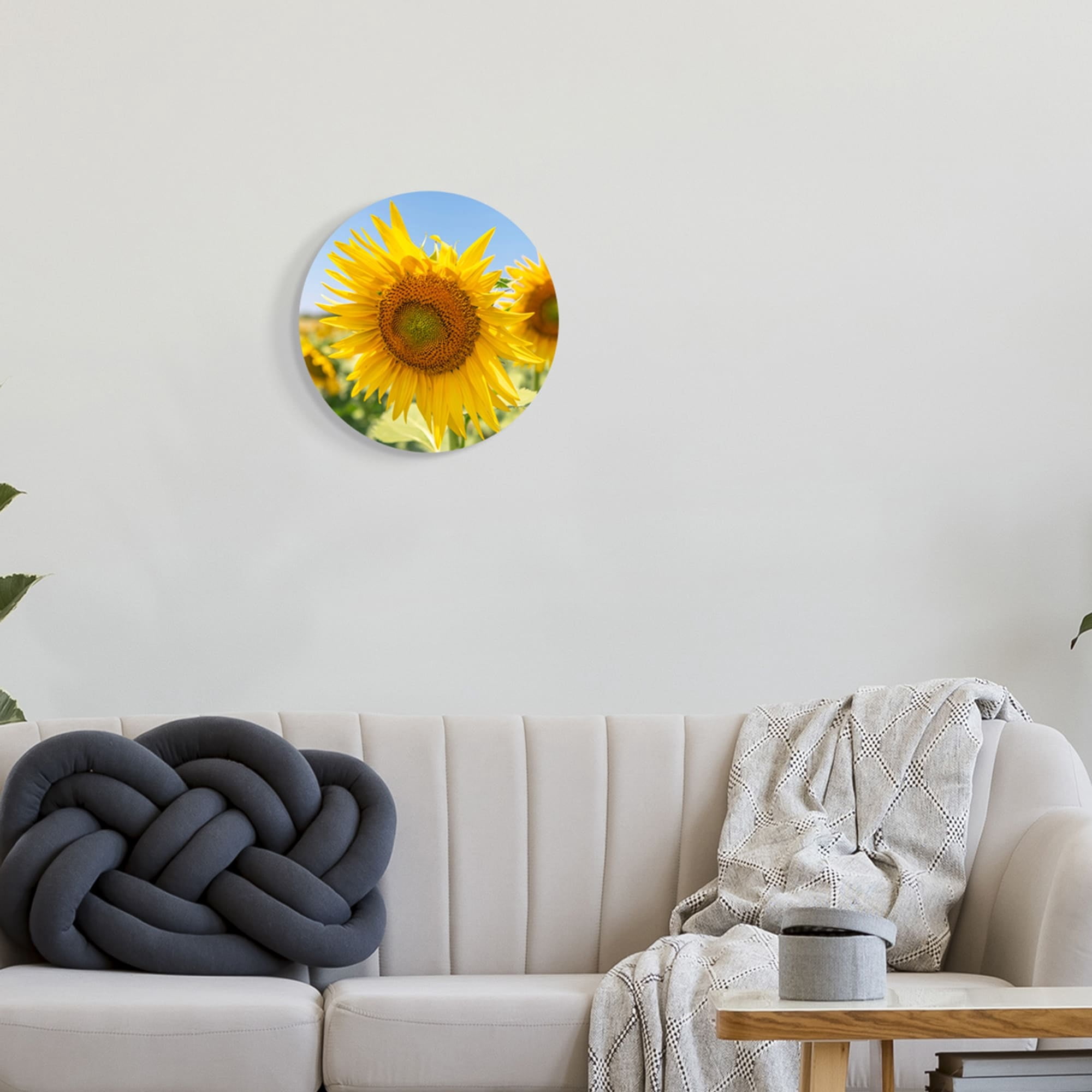 Stupell Industries Sunflower Florals in Sunny Blue Farm Field,12 x 12,Design By Richard Silver