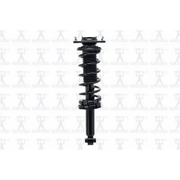 Suspension Strut and Coil Spring Assembly
