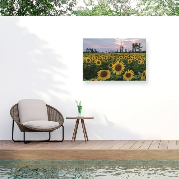 Kurt Shaffer 'Sunflowers Of Hope' Outdoor Canvas 30x47