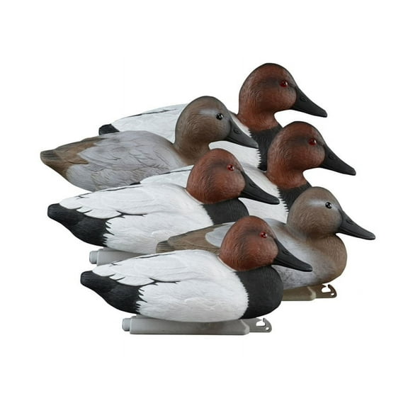 Higdon Standard Foam Filled Canvasback Duck Decoy Polymer 6PK