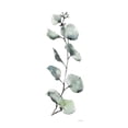 thumbnail image 3 of Tavoletti, Anne 8x14 Black Modern Framed Museum Art Print Titled - Modern Farmhouse XV on White, 3 of 5