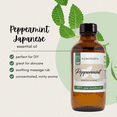 thumbnail image 6 of Peppermint Essential Oil 8 fl oz - GreenHealth, 6 of 9