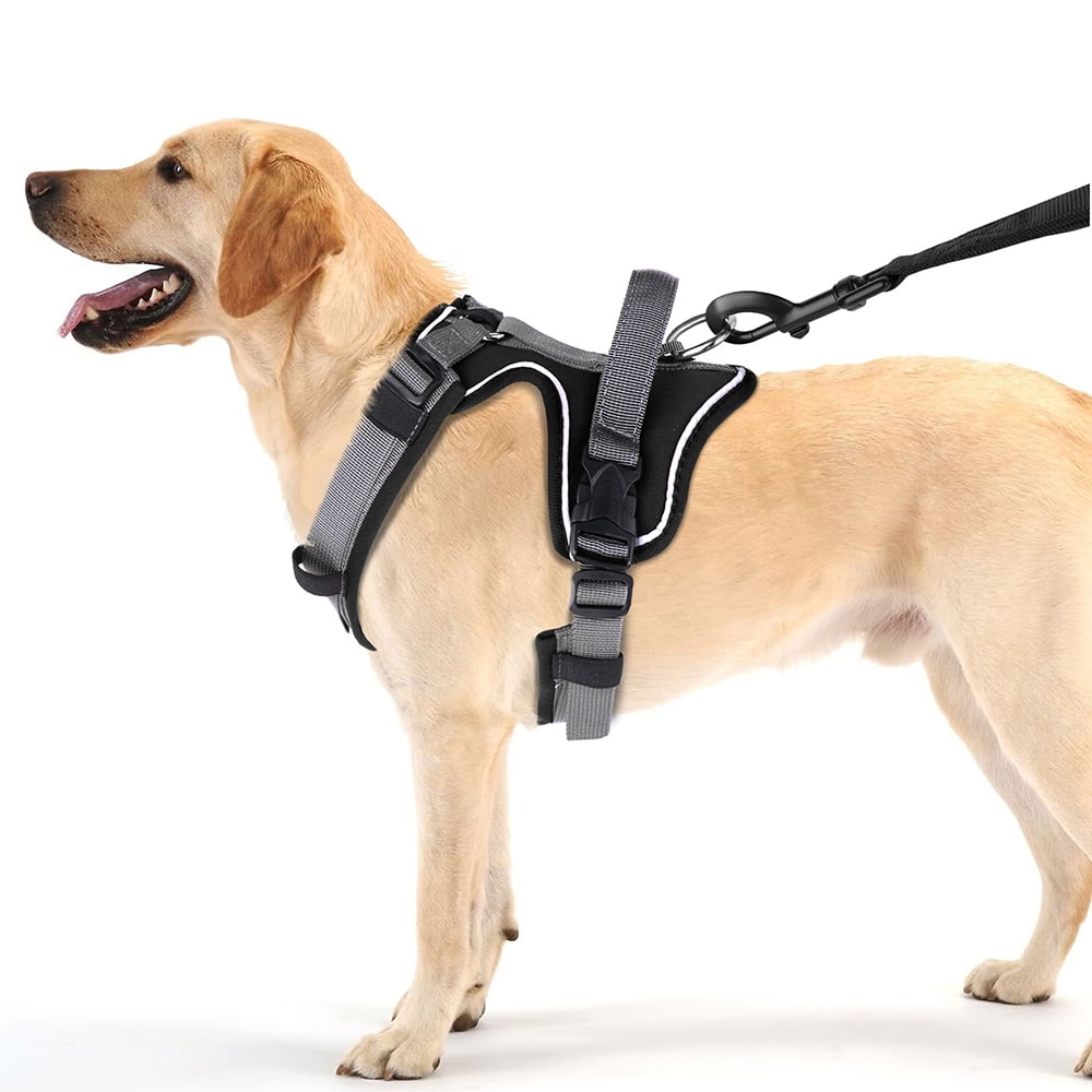 Beirui Reflective No Pull Dog Harness Soft Padded Adjustable Training Vest With Handle & 2 Leash Clips
