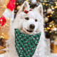thumbnail image 4 of Paquete de 2 pañuelos navideños para perros, pañuelos navideños para gatos, baberos de franela a cuadros de búfalo, bufandas para perros y gatos, 4 of 5