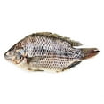 Great Value Whole Tilapia, 3 lb (Frozen)