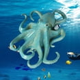 thumbnail image 4 of s de pulpo realistas de animales marinos de 14 cm, del para , juguete educativo A Zulema estatuilla de animales marinos, 4 of 8