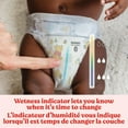 thumbnail image 3 of Huggies Little Snugglers Diapers, Jumbo Pack, Size Preemie - 2, 3 of 9