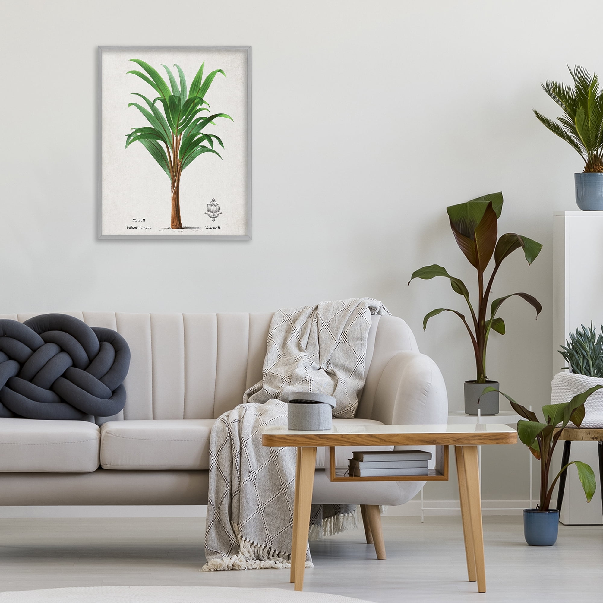 Stupell Industries Palmas Longas Palm Tree Gray Framed Giclee Art, design by Val Rhodes
