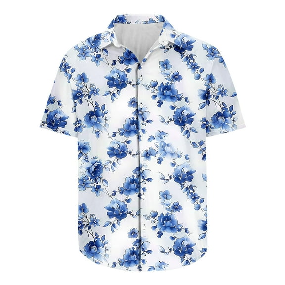 Zylanna Men's Hawaiian Shirts, Casual Quickly Dry Turndown Collar Short Sleeve Summer Beach Button Down Shirts Multicolor Size 2XL
