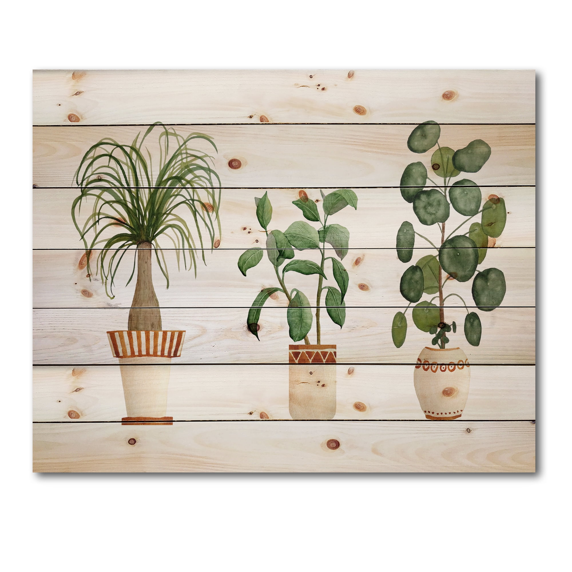 Designart 'Trio of House Plants Ficus Ponytail and Palm' Traditional Print on Natural Pine Wood