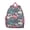 Rose-red-21, variant on Dinosaur Lover’s Student Backpack – Funny Dino Cartoon Design with Bold Colors, Nature Scene, Birthday Theme, and Roaring Baby Dinosaur