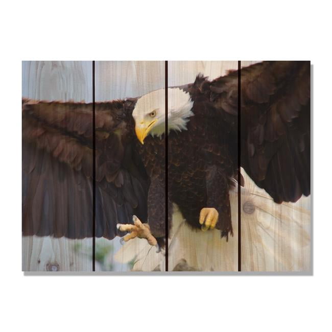 Gizaun Art Bald Eagle 22 1 2 Inch By 16 Inch Inside Outside Wall Art Full Color On Cedar Walmart Canada