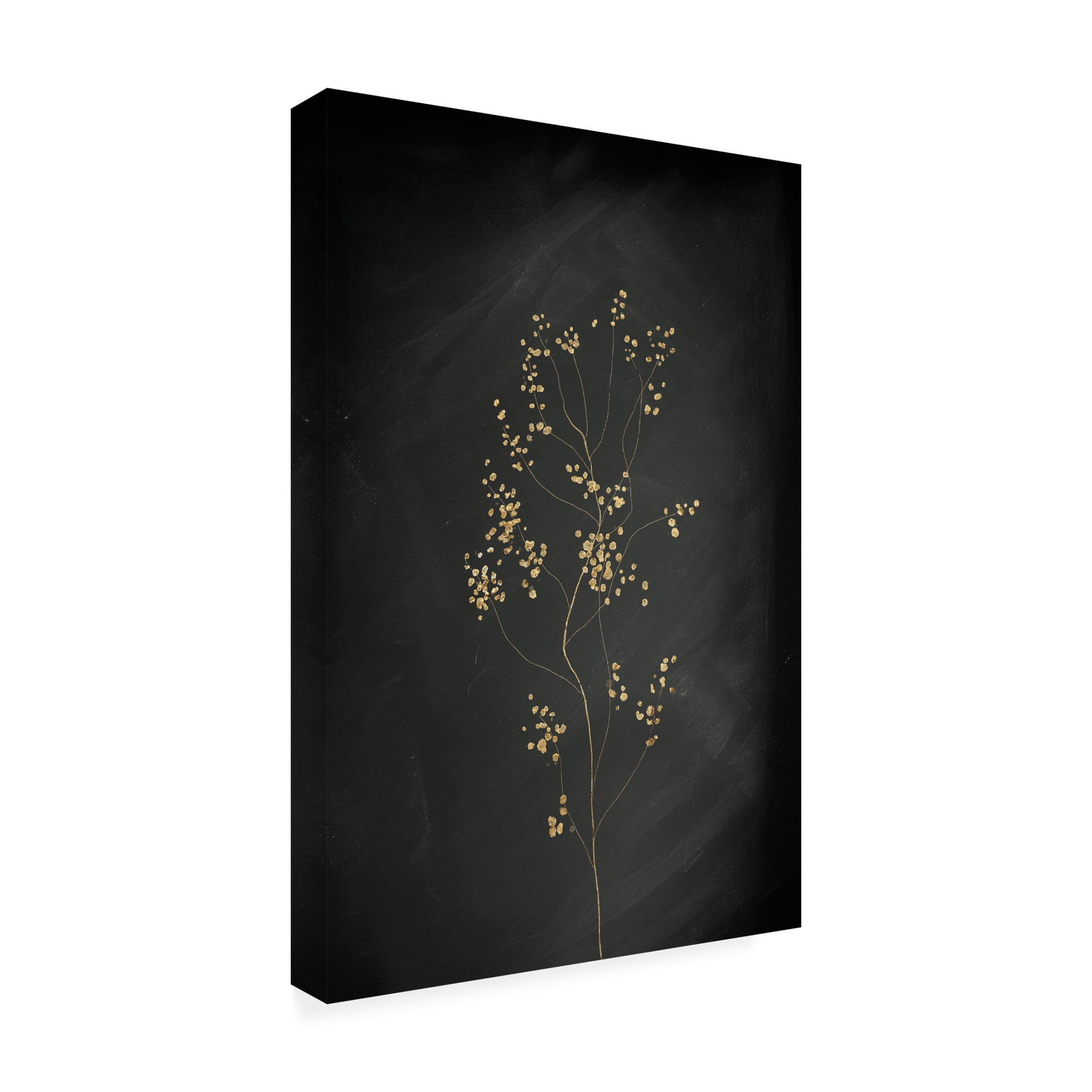 Trademark Fine Art Aureous Black Gold Botanical No 3 Canvas Wall Art