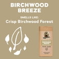 thumbnail image 3 of Dr. Squatch Mens Natural Body Wash, Sulfate Free Moisturizing Body Wash for men, Birchwood Breeze, 14 fl Oz, 3 of 11