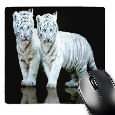 3dRose  White Tiger Cubs  MousePad price history on PriceWatchPro