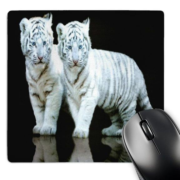 3dRose, White Tiger Cubs, MousePad