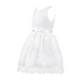 thumbnail image 3 of MSemis Kids Lace Princess Flower Girl Dress for Junior Teens Toddler Wedding Birthday Party, 3 of 7