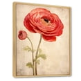 thumbnail image 2 of Designart "Nostalgic Bloom Fantasy III" Ranunculus Floater Framed Canvas Prints, 2 of 5