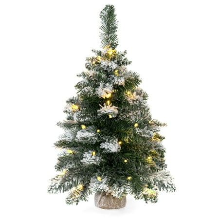 Best Choice Products 24-inch Cordless Indoor Pre-Lit Snow Flocked Tabletop Christmas Tree Holiday Decor with 30 LED Warm White Lights, Hidden Battery Pack, 6 Hour Timer, (Best Indoor Office Trees)