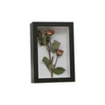 thumbnail image 4 of Chamoist Shadow Box Picture Frame,Shadow Box Frame,HD Glass Wooden Hollow Photo Frame,Memory Box Display Case for Memorabilia Flower Awards Medals Wedding Photos and Keepsake, Pet Memorial Shadow Box, 4 of 8