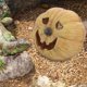 thumbnail image 1 of unbranded Refugio Para Reptiles En De Calabaza Beige Para Terrario Y Mascotas, 1 of 6
