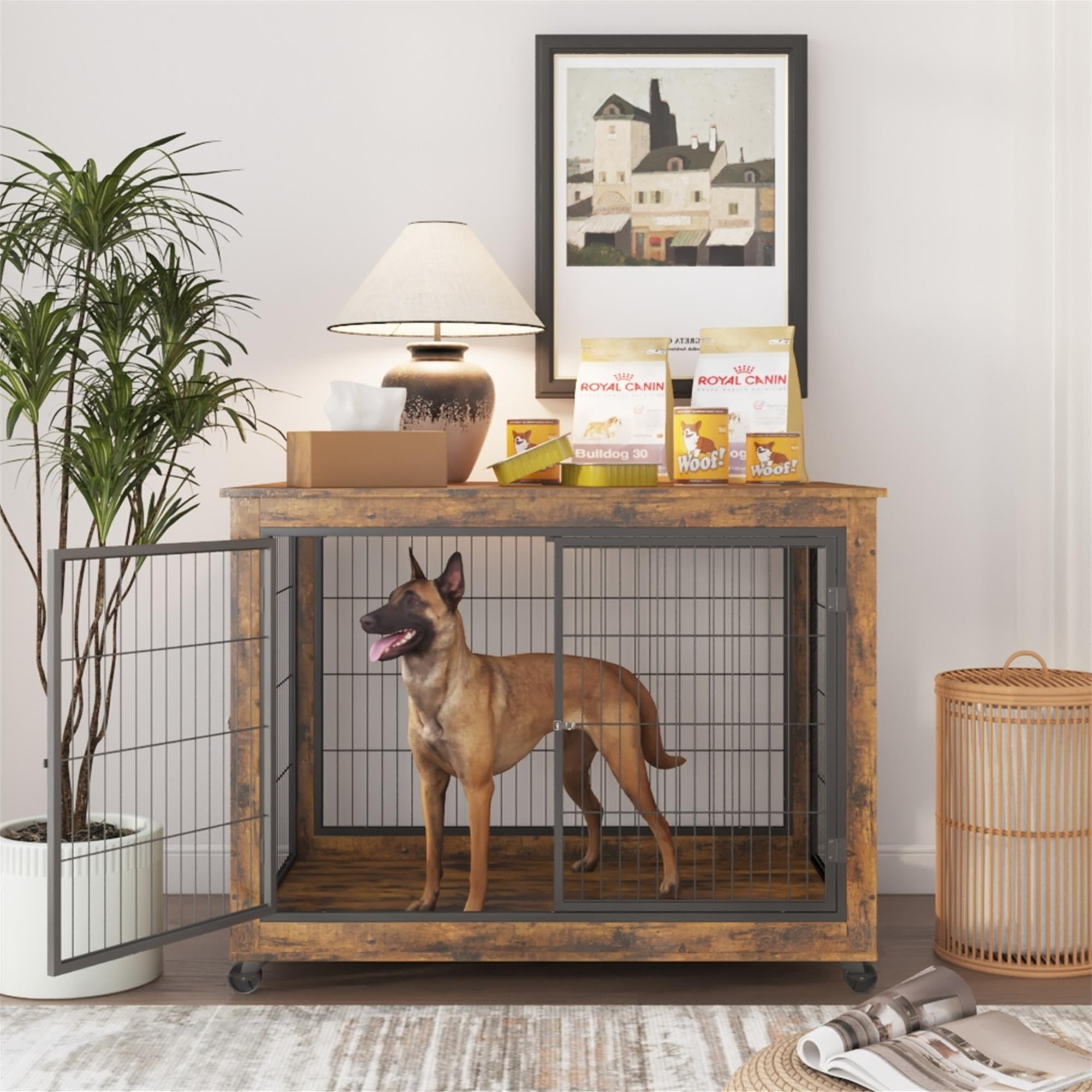 Where to Put a Dog Crate In The House? Here Are Best Places