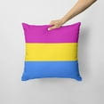 thumbnail image 2 of Carolines Treasures CK8005PW1414 Fabric Decorative Pillow, 14Hx14W, multicolor, 2 of 3