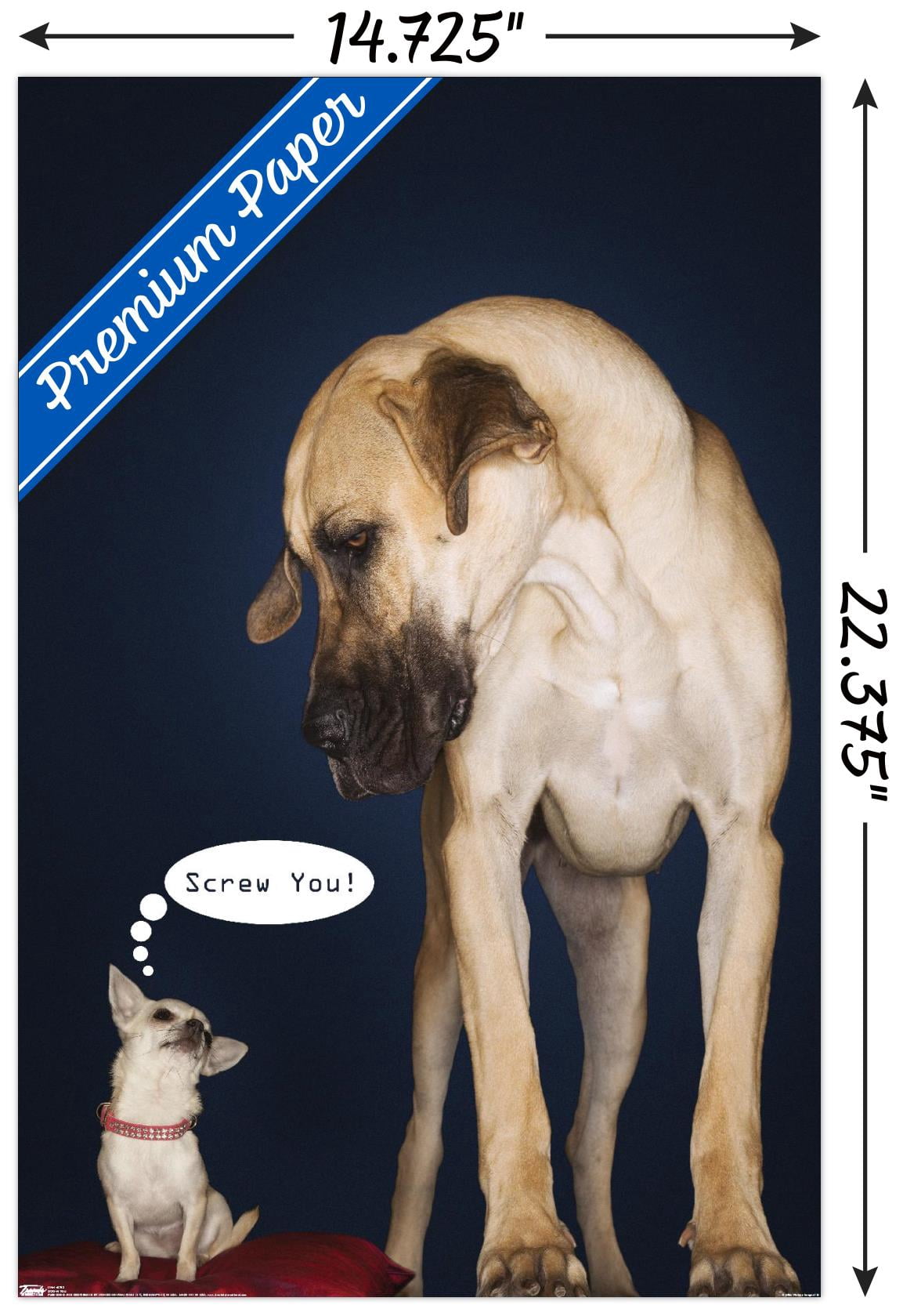 Dogs - Screw You Wall Poster, 14.725" x 22.375"
