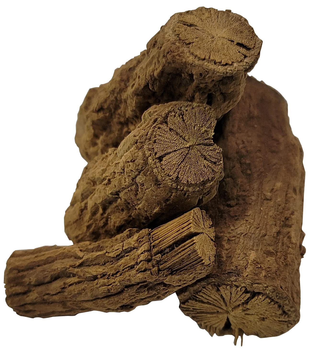 Naturejam Palo Guaco Mexican Vine 1 Pound- Amazing Unique Vine Cut in Chunks aka Raiz De Guaco or Mikania Guaco